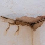 Water Damage Restoration After a Basement Flood: What You Need to Know